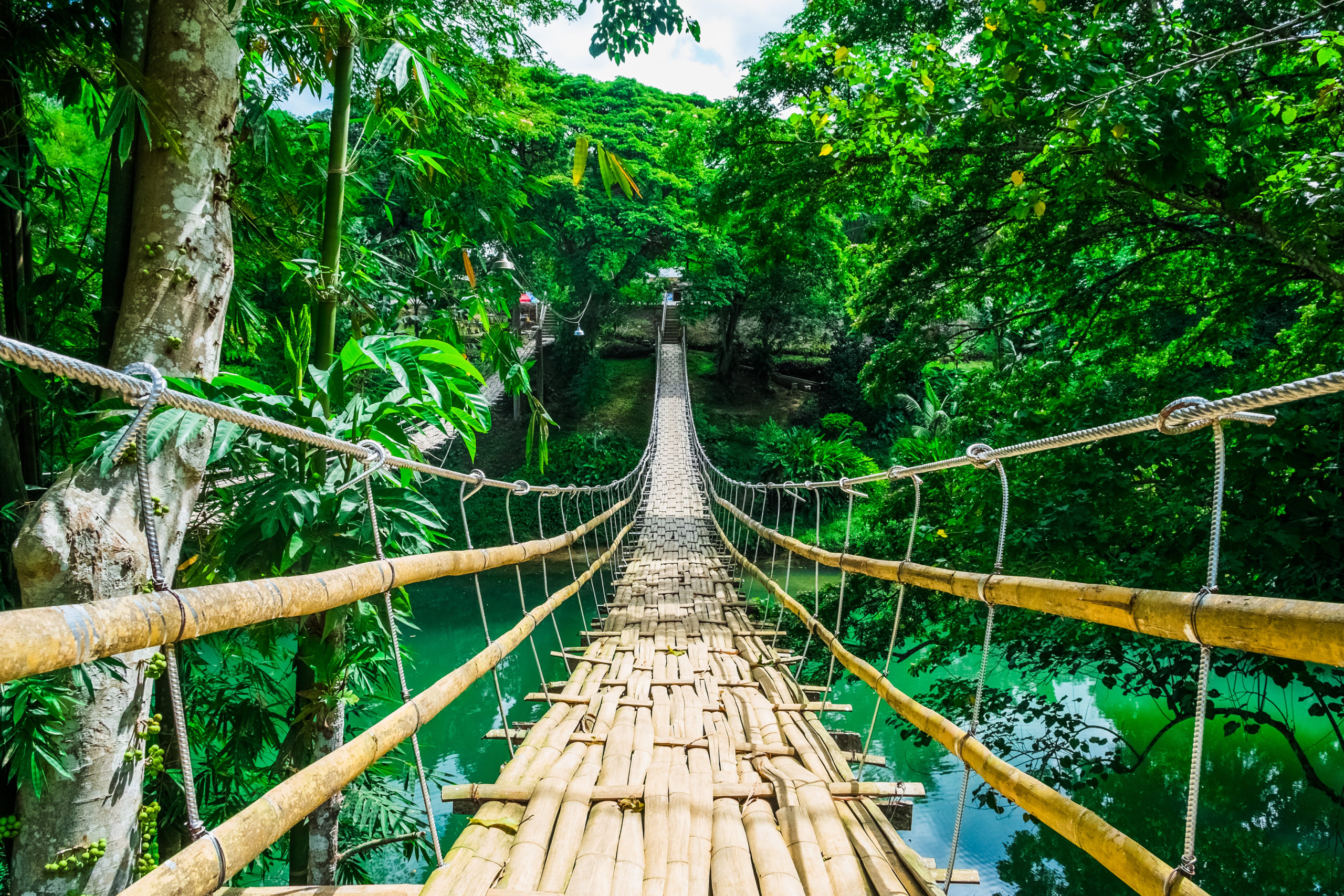 Fototapety Ścieżki natura